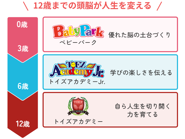 12歳までの頭脳が人生を変える。0歳～3歳はベビーパークで優れた脳の土台づくり。～6歳はトイズアカデミーJr.で学びの楽しさを伝える。～12歳はトイズアカデミーで自ら人生を切り開く力を育てる。